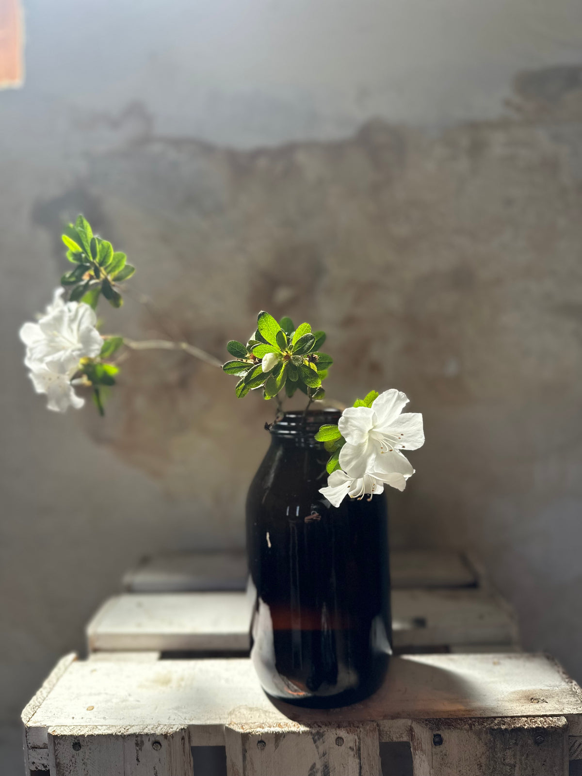 Amber Glass Apothecary bottle #2