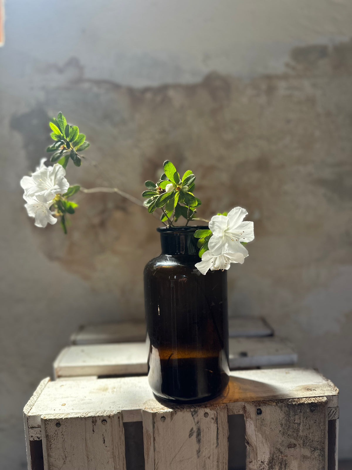 Amber Glass Apothecary Bottle #1