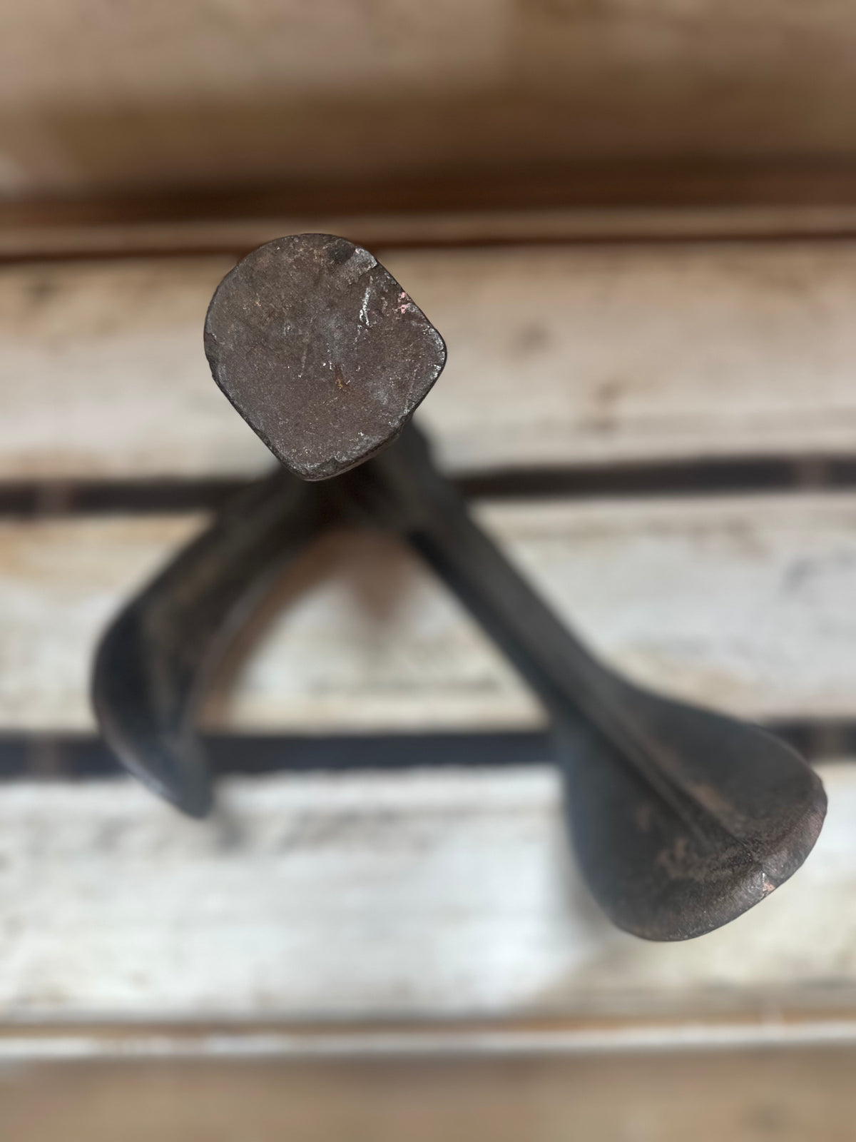 Antique Cast Iron Cobbler’s Shoe Cast